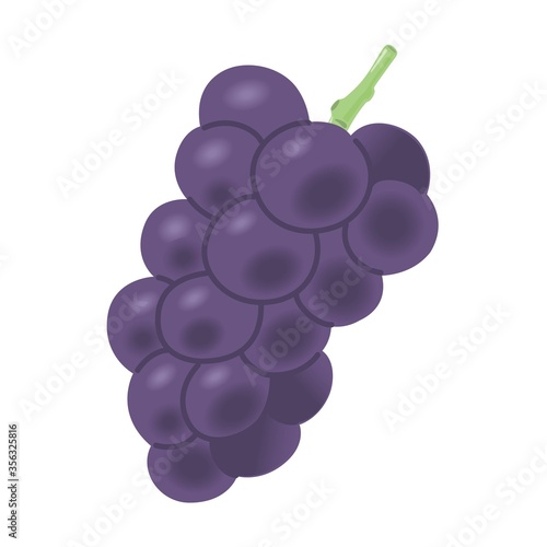 ブドウのイラスト
