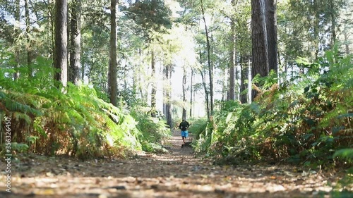 WS Man jogging in forest on sunny day / Ockham, Surrey, UK photo