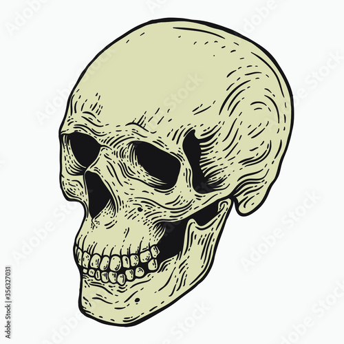 Skull vintage engraving style isolated vector hand drawn illustration for graphic design and creative projects. stamp logo emblem, retro branding and tattoo design