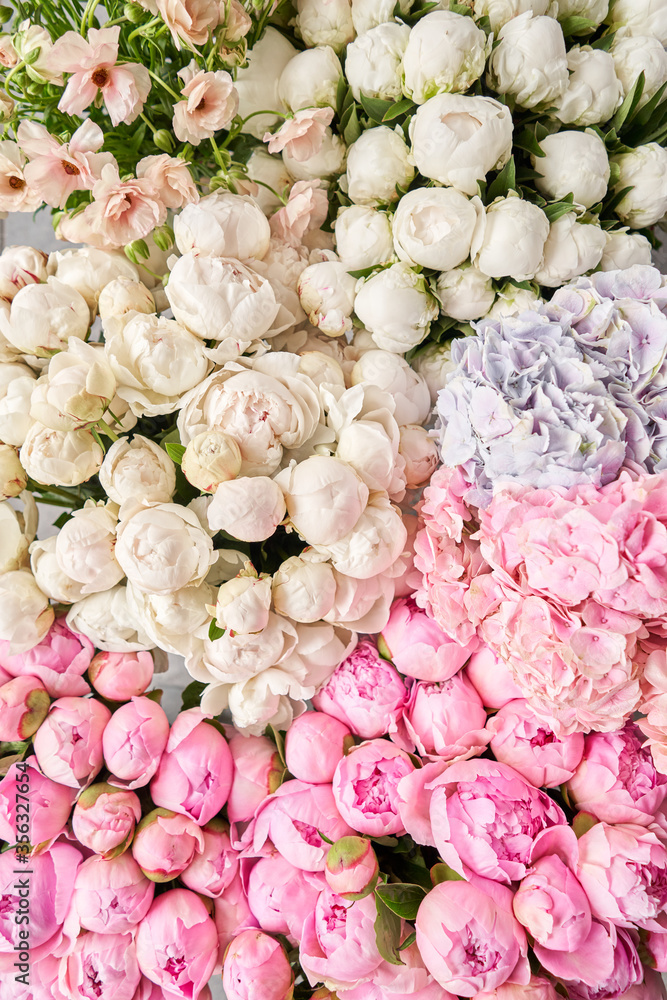 Floral carpet or Wallpaper. Background of pink and white peonies. Morning  light in the room. Beautiful peony flower for catalog or online store.  Floral shop and delivery concept . Stock Photo |