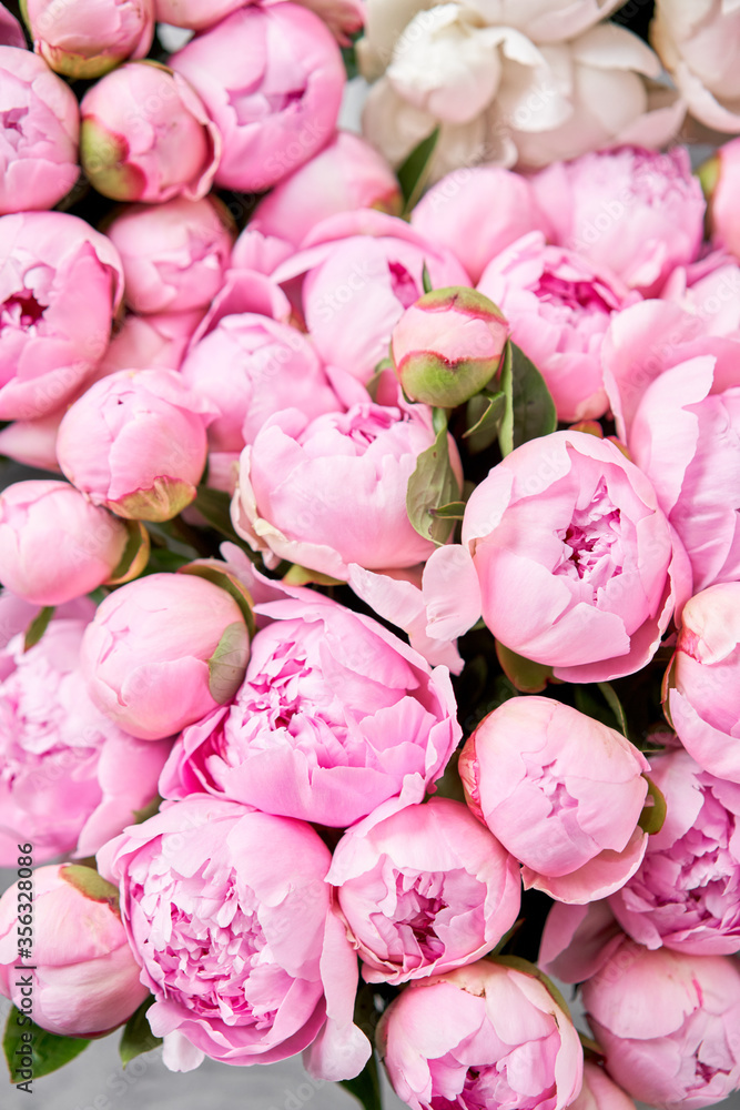 Beautiful peonies background Stylish pink peony wallpaper vertical image  Hello spring Happy Mothers day greeting card Happy valentines day Stock  Photo  Adobe Stock