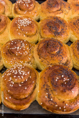 Freshly baked bun with poppy seed. Sweet tasty homemade bread © RomanR
