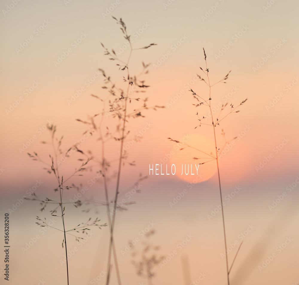 Obraz premium Hello july text. Selective soft focus of beach dry grass, reeds, stalks at pastel sunset light, blurred sea on background. Nature, summer