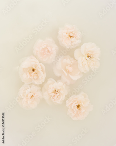 White roses floating in water