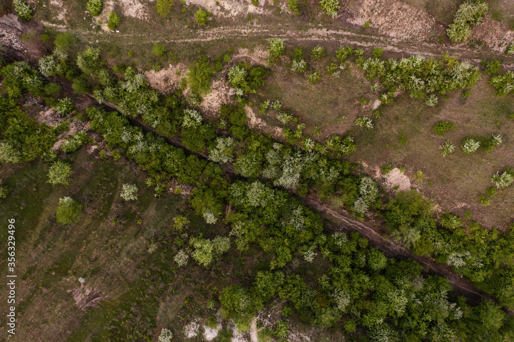 Aerial top view of rocks and tree, mountain ecosystem and healthy environment concept and background, Texture of green tree, stones and land Aerial top view of rocks and tree, mountain ecosystem and healthy environment concept and background, Texture of green tree, stones and land