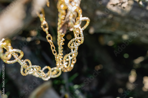 This season, multi-tiered chains of different types and sizes are fashionable. Faceted Golden links of the metal alloy dry hanging on the branches, bark and wood from the elements of nature. Details o © Анна Иванова