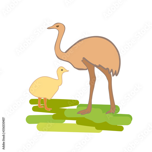 Vector illustration of ostrich with a small baby ostrich isolated on a white background, hand drawing illustration.