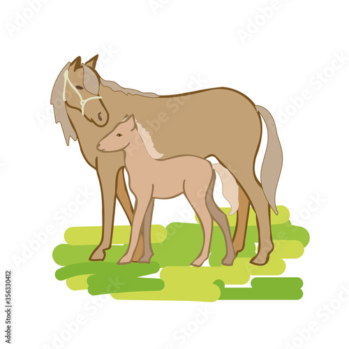 Vector illustration of horse with foal isolated on a white background, hand drawing illustration.