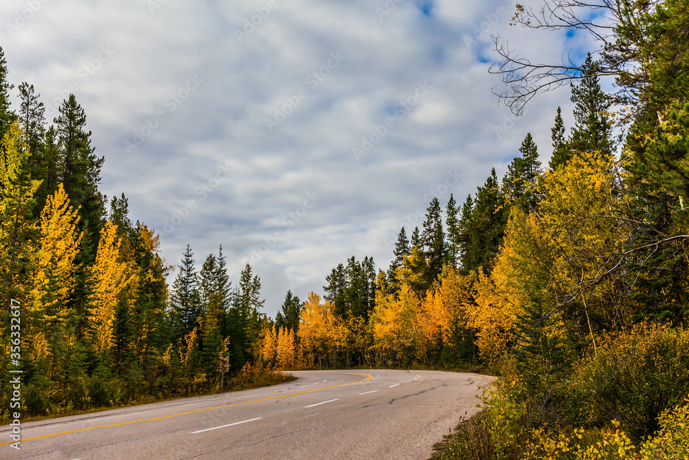 Fototapeta premium The highway