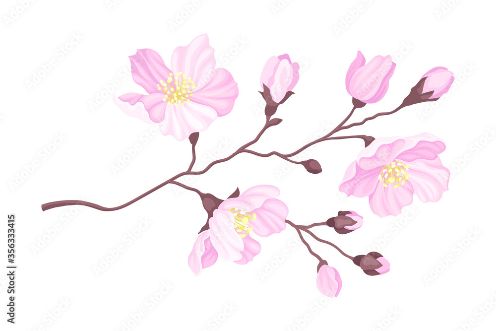 Blooming Cherry Branch with Tender Pink Flower Blossoms Vector Illustration