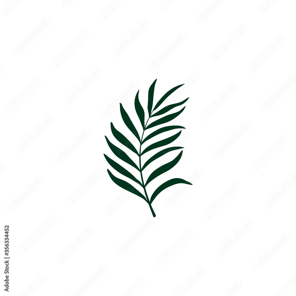 Silhouette of hand drawn tropical leaf.