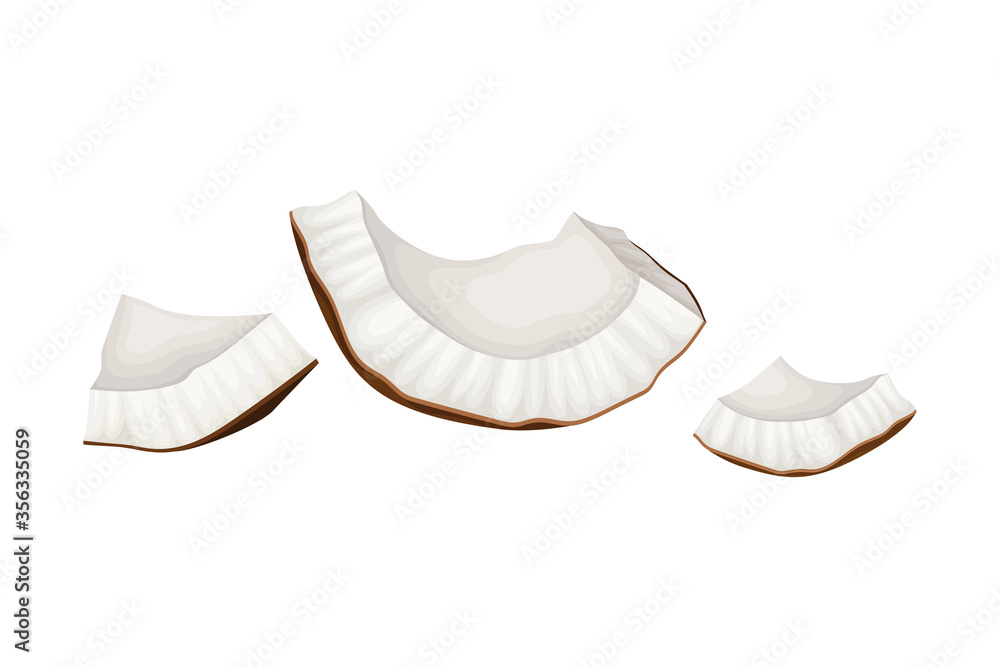 Cracked Coconut with Hard Shell and Fibrous Husk Showing White Inner Flesh Vector Illustration Cracked Coconut with Hard Shell and Fibrous Husk Showing White Inner Flesh Vector Illustration