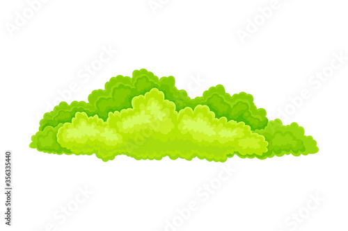 Green Bush or Shrub with Leafy Crown as Forest Element Vector Illustration