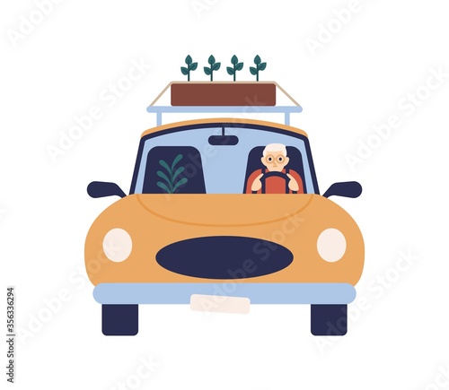 Elderly man in glasses driving car with box of plant on roof vector flat illustration. Aged male ride on automobile carry seedlings isolated on white background. Driver riding on vehicle front view