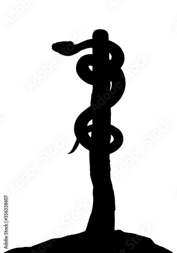 The serpent on the pole. Vector drawing