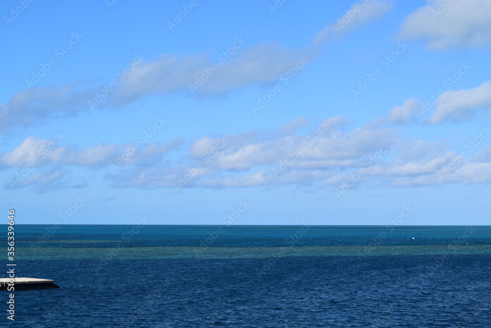 reef reef