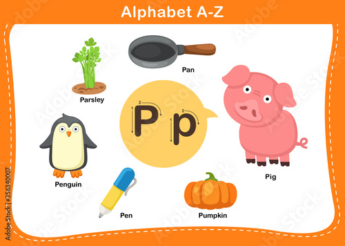 Alphabet Letter P vector illustration