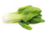 pac-choi traditional chinese vegetable isolated