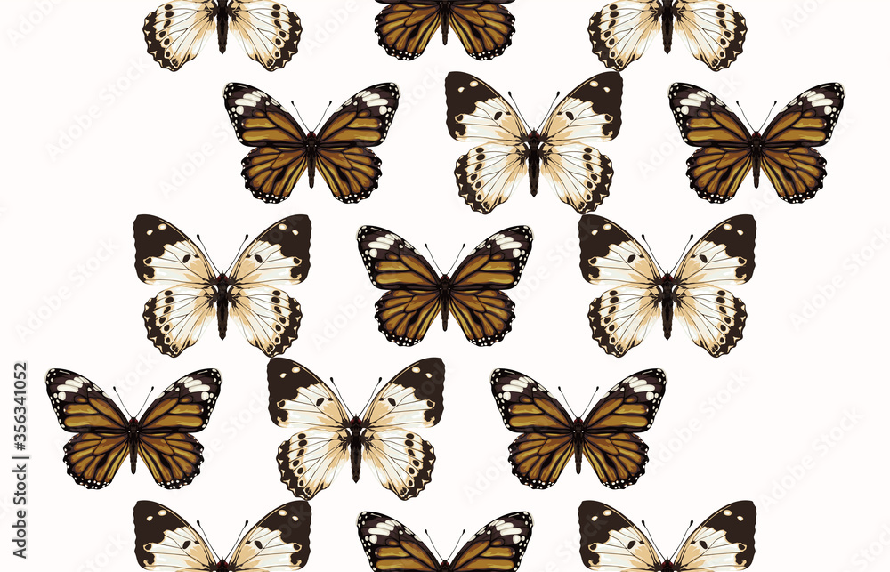 Seamless butterfly patterns. Seamless butterfly patterns.