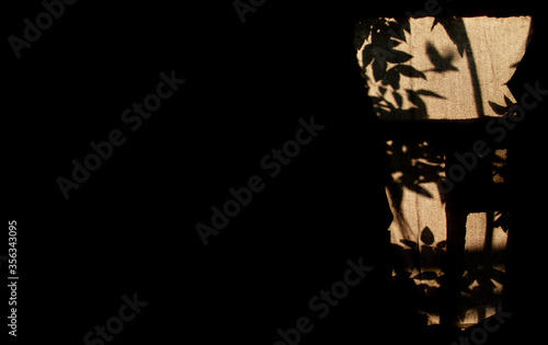 Shadow of a window in sunset light with a silhouette of leaves, a tree and a flying bird with dark space for text