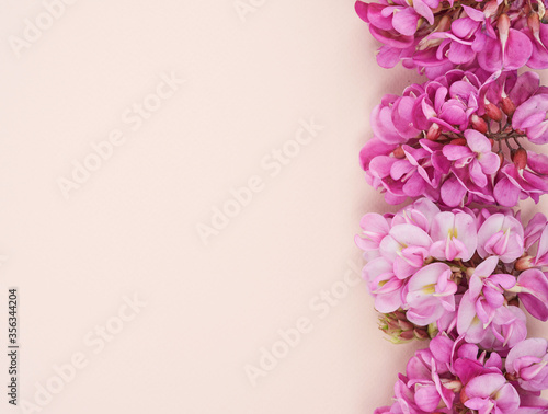 flowering branch Robinia neomexicana with pink flowers on a beige background © nndanko