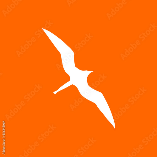 Fregattvogel und Hintergrund