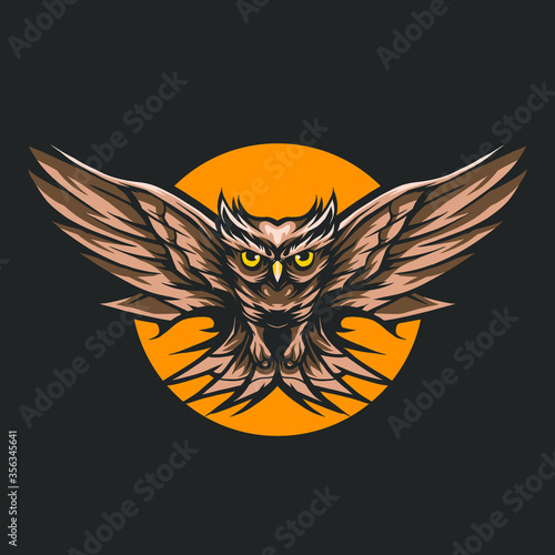 owl fly on night over the moon vector illustration design