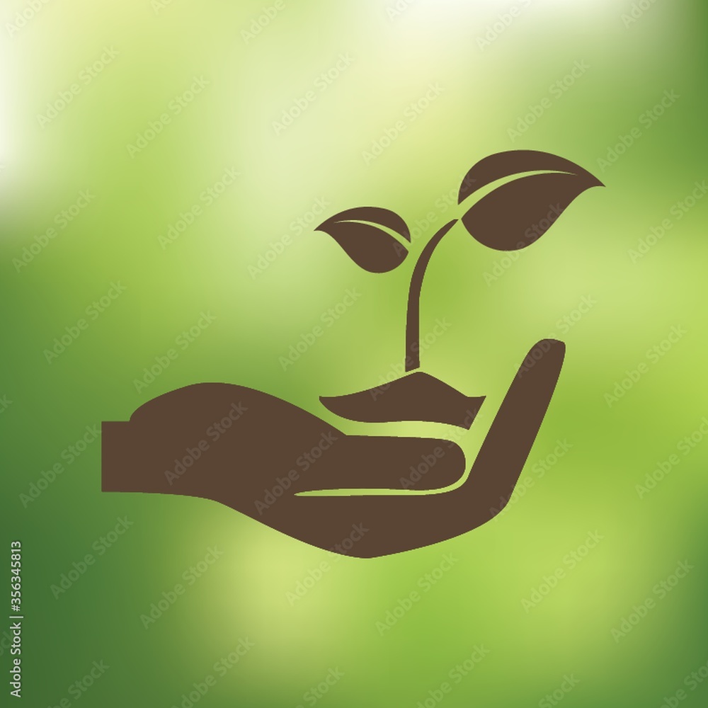 sapling in hand