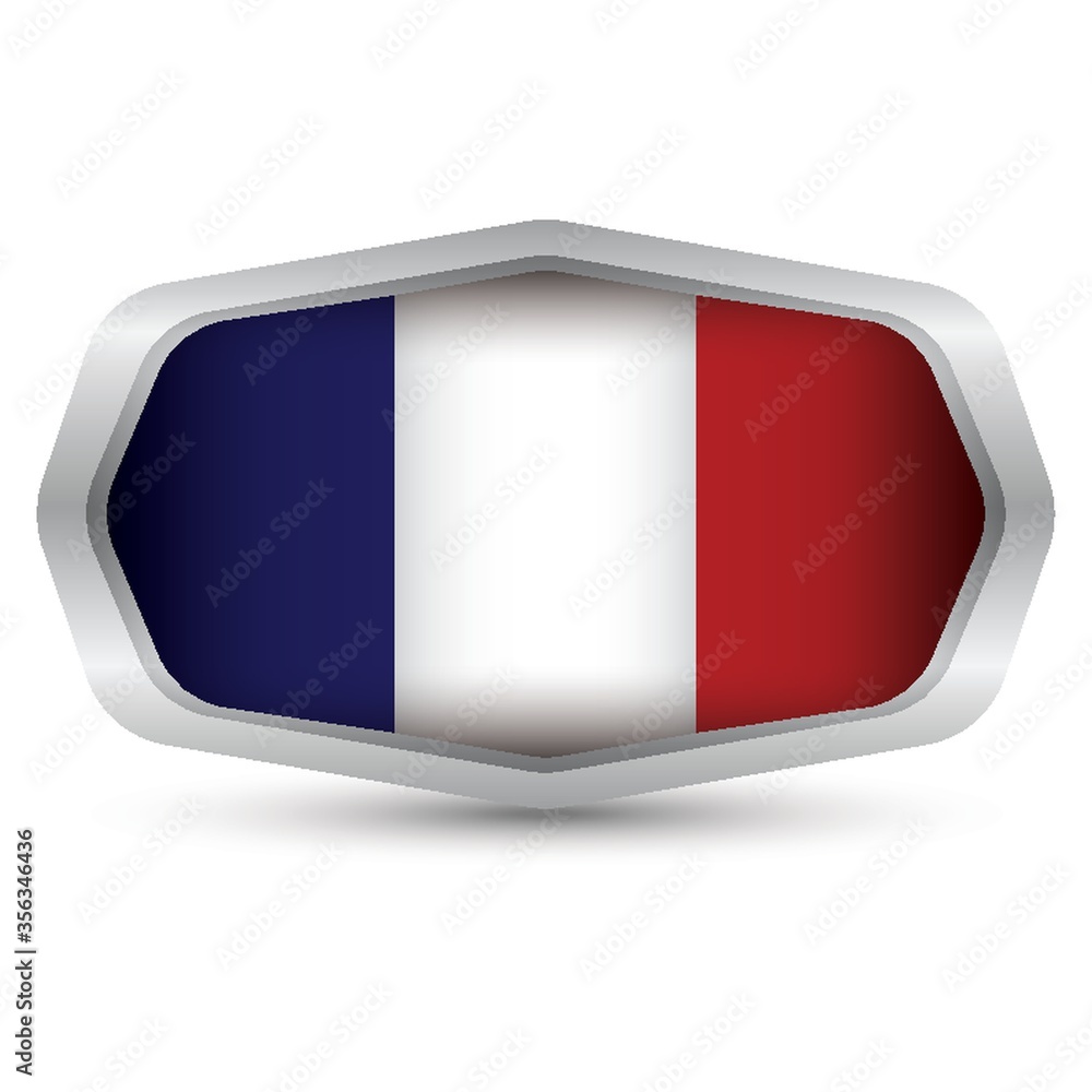 france flag button france flag button