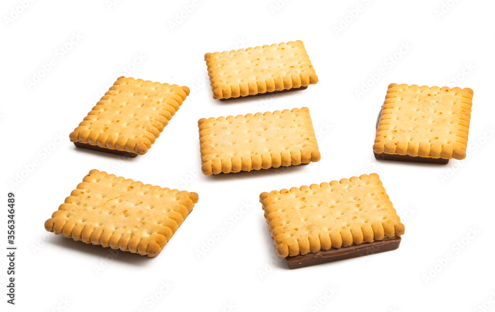 cookies with chocolate isolated cookies with chocolate isolated