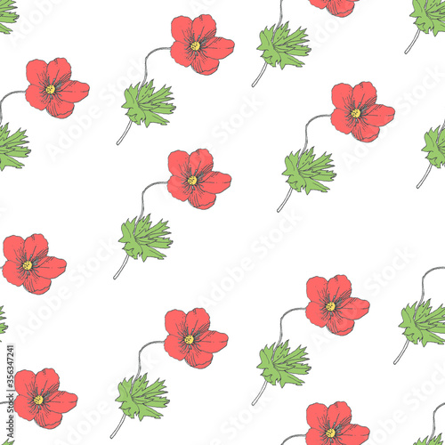 Red poppies flowers pattern on white background.