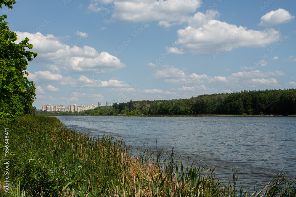 a large lake in the forest against of the city