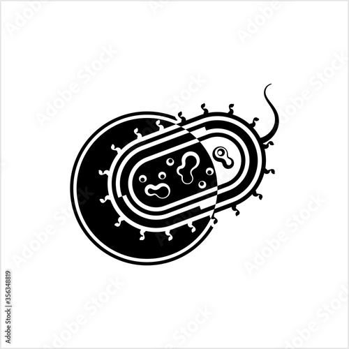 Bacteria Icon, Bacteria