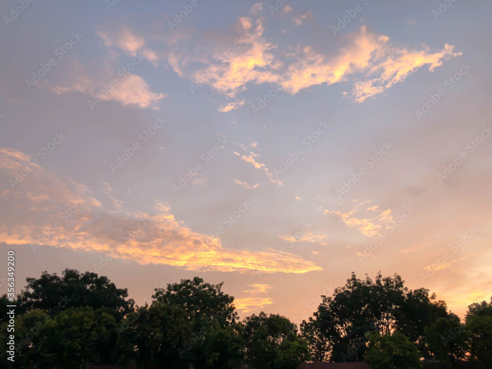 Evening sunset sky above trees