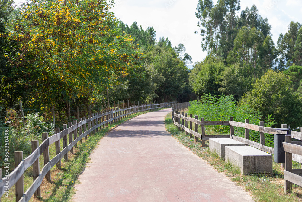 Pedestrian and cycle eco path, asphalt pavement, stone bench, background and vegetation