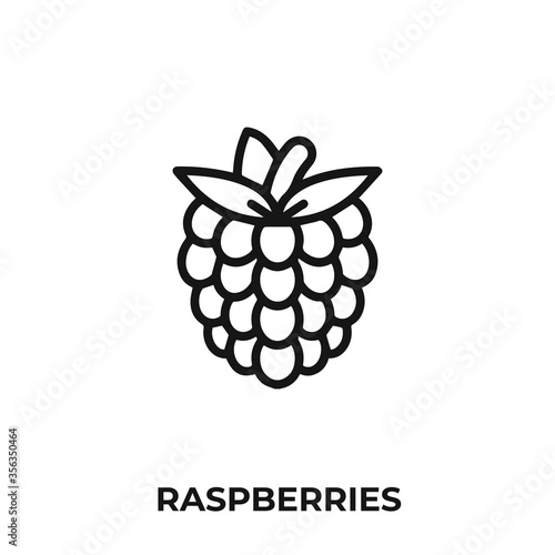 raspberries icon vector. raspberries icon vector symbol illustration. Modern simple vector icon for your design.