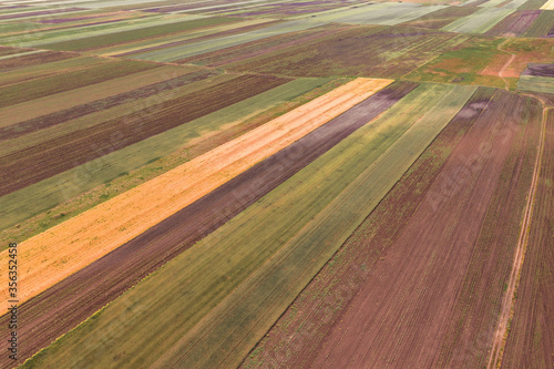 Aerial view of cultivated fields