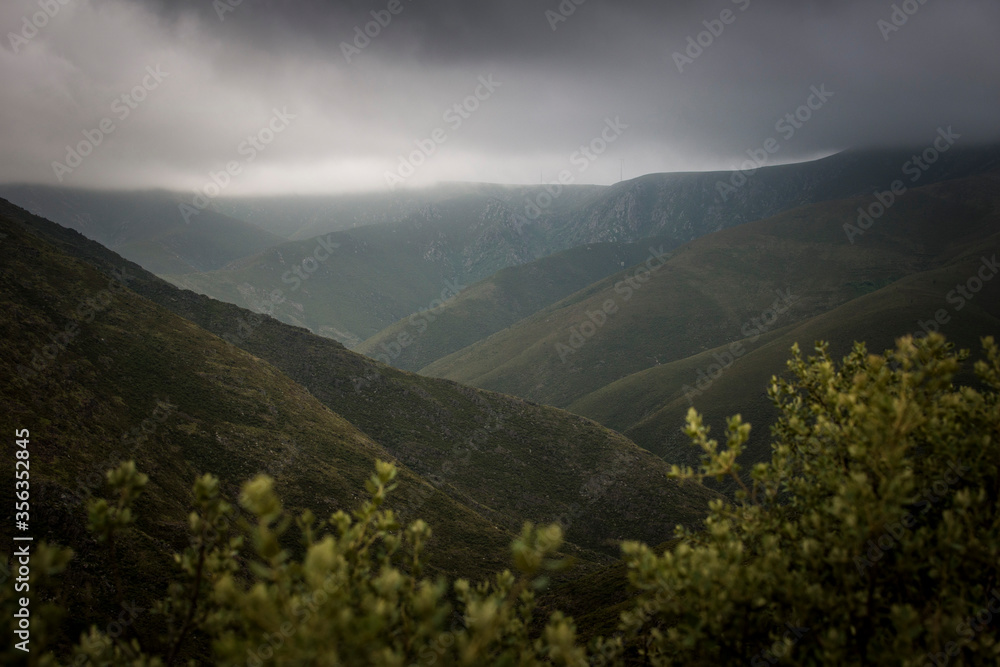 Naklejka premium Mountain landscape view through vegetation