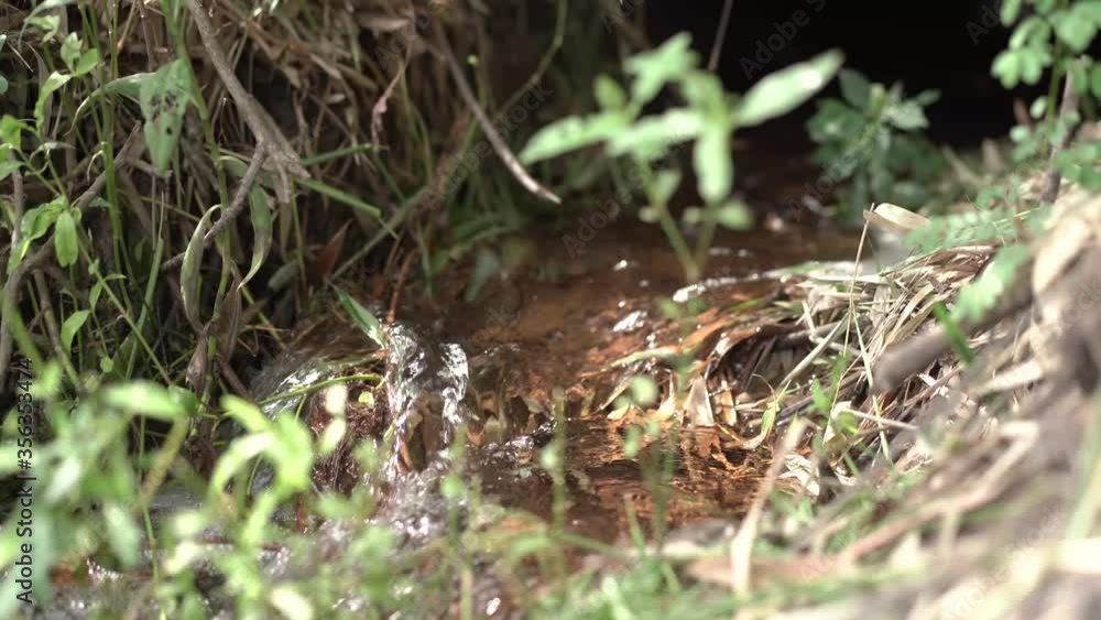 Water flows from a small stream Water flows from a small stream