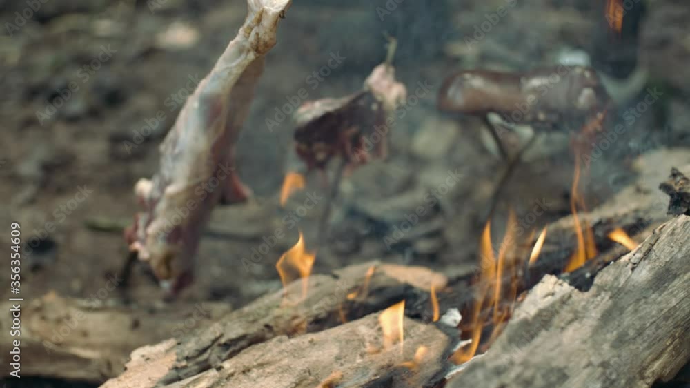 Slowmotion of meat pieces on the sticks fried above the firepace with visible small flames. Slowmotion of meat pieces on the sticks fried above the firepace with visible small flames.