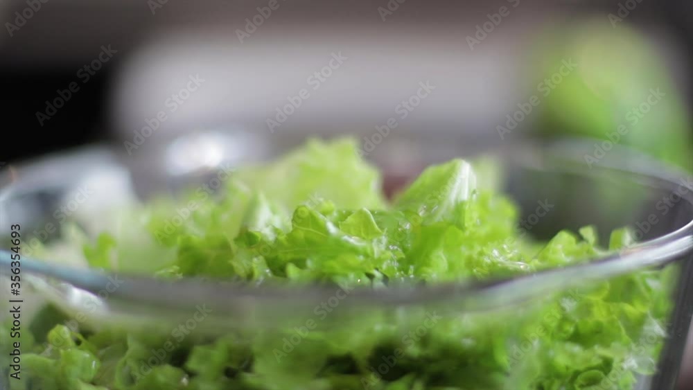 Seasoning a salad. Pouring cooking oil on a green lettuce. Cooking healthy recipes.