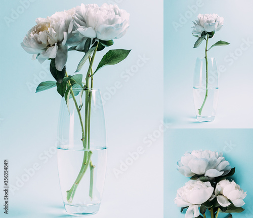 Fotografie bouquet of white peonies in glass vase on blue background, collage