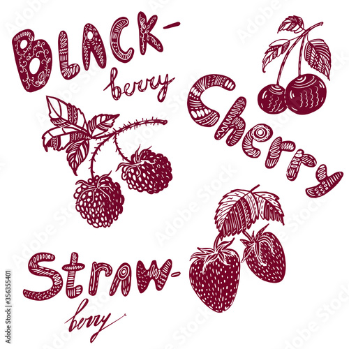 drawing picture set of images of berries and lettering, sketch, hand-drawn digital vector illustration