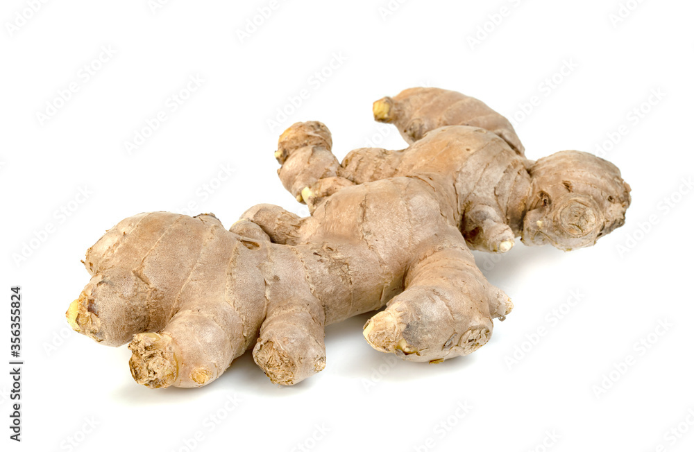 fresh ginger root isolated on white background fresh ginger root isolated on white background