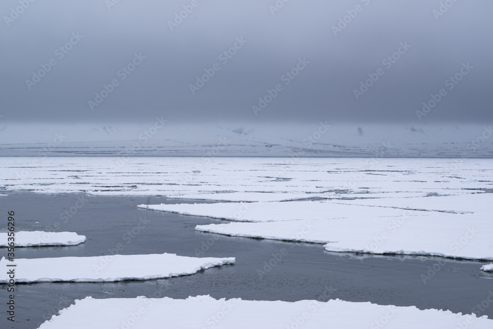 Melting sea ice in the Arctic on Spitsbergen on a cloudy day with mountains