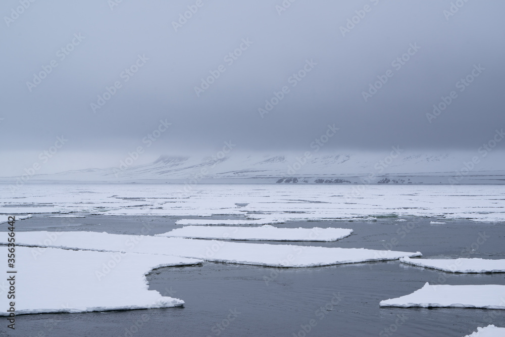 Melting sea ice in the Arctic on Spitsbergen on a cloudy day with mountains Melting sea ice in the Arctic on Spitsbergen on a cloudy day with mountains