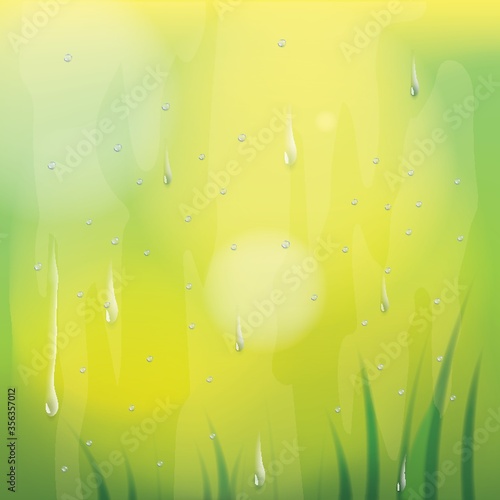 drops of rain on window