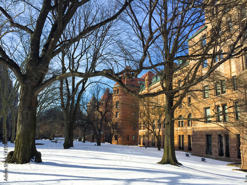 New York natural history museum