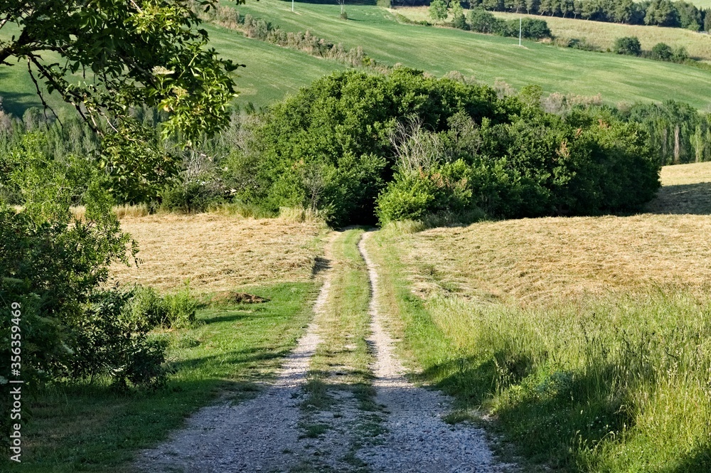 An isolated countryside pathway (Pesaro, Italy, Europe)