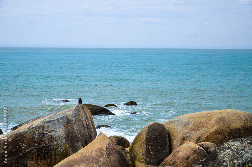 rocks and sea